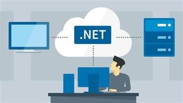 net software development