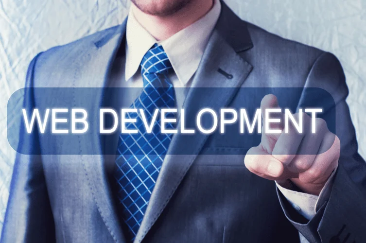 what is a web developer