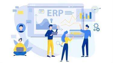 Custom-made ERP: Pros and cons