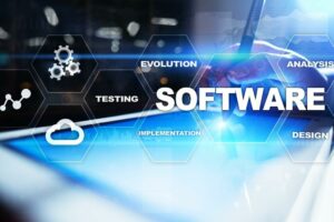 What is a test management process