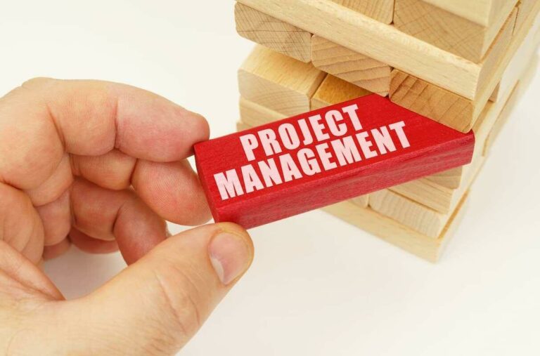 What does project management include