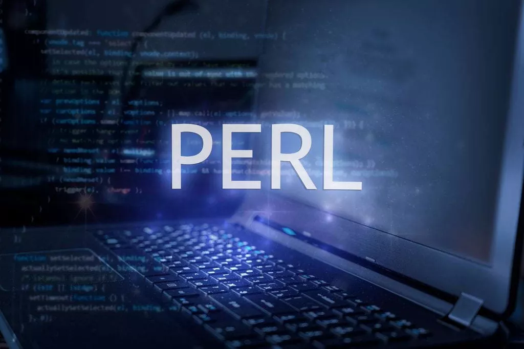 How To Hire A Perl Developer For Your Business Project | GlobalCloudTeam